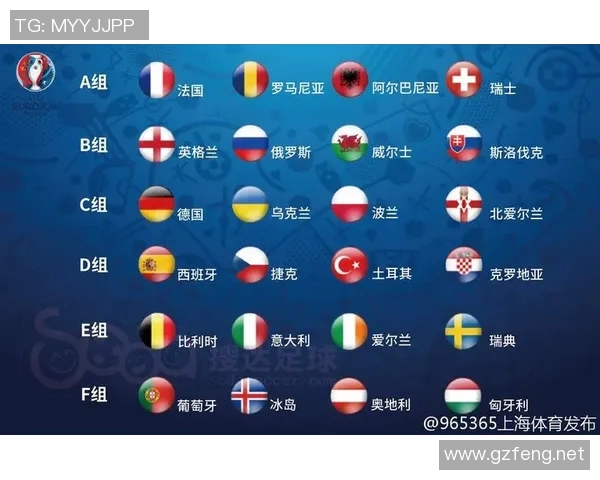 2016年法国欧洲杯精彩回顾及最终比赛结果分析