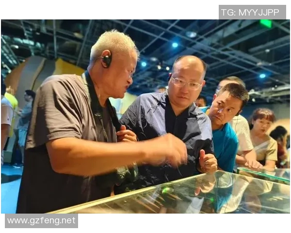 全面解析全球知名体育品牌商标及其背后的故事与文化价值