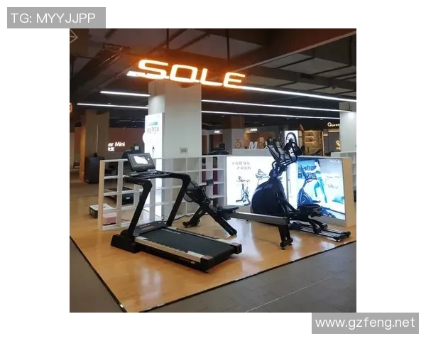 健身器材购买指南及推荐地点让你轻松找到理想健身装备