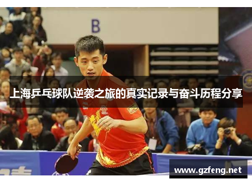上海乒乓球队逆袭之旅的真实记录与奋斗历程分享