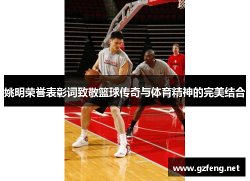 姚明荣誉表彰词致敬篮球传奇与体育精神的完美结合